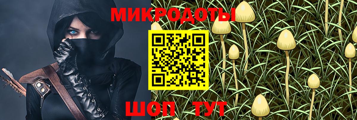 Псилоцибиновые грибы Psilocybine cubensis Ханты-Мансийск