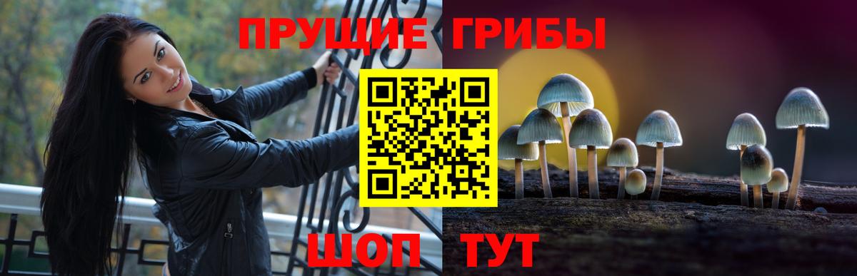 Ханты-Мансийск  Псилоцибиновые грибы MAGIC MUSHROOMS  Вход с VPN 